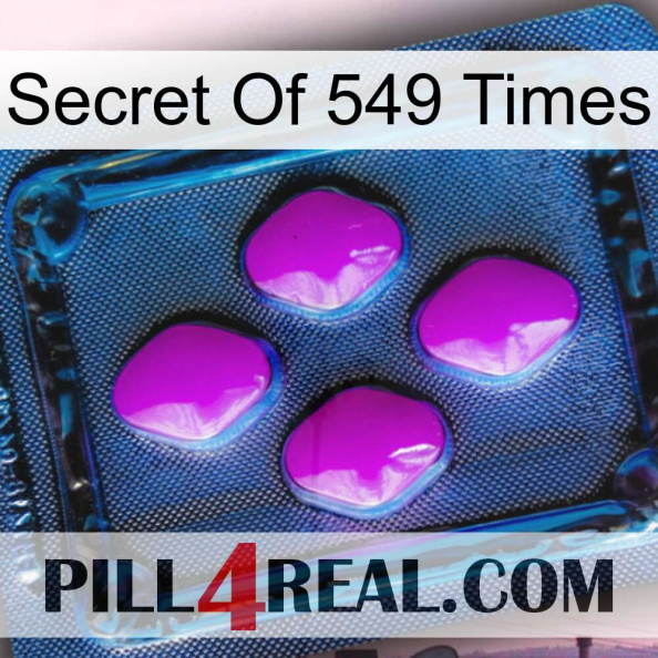 Secret Of 549 Times 04.jpg